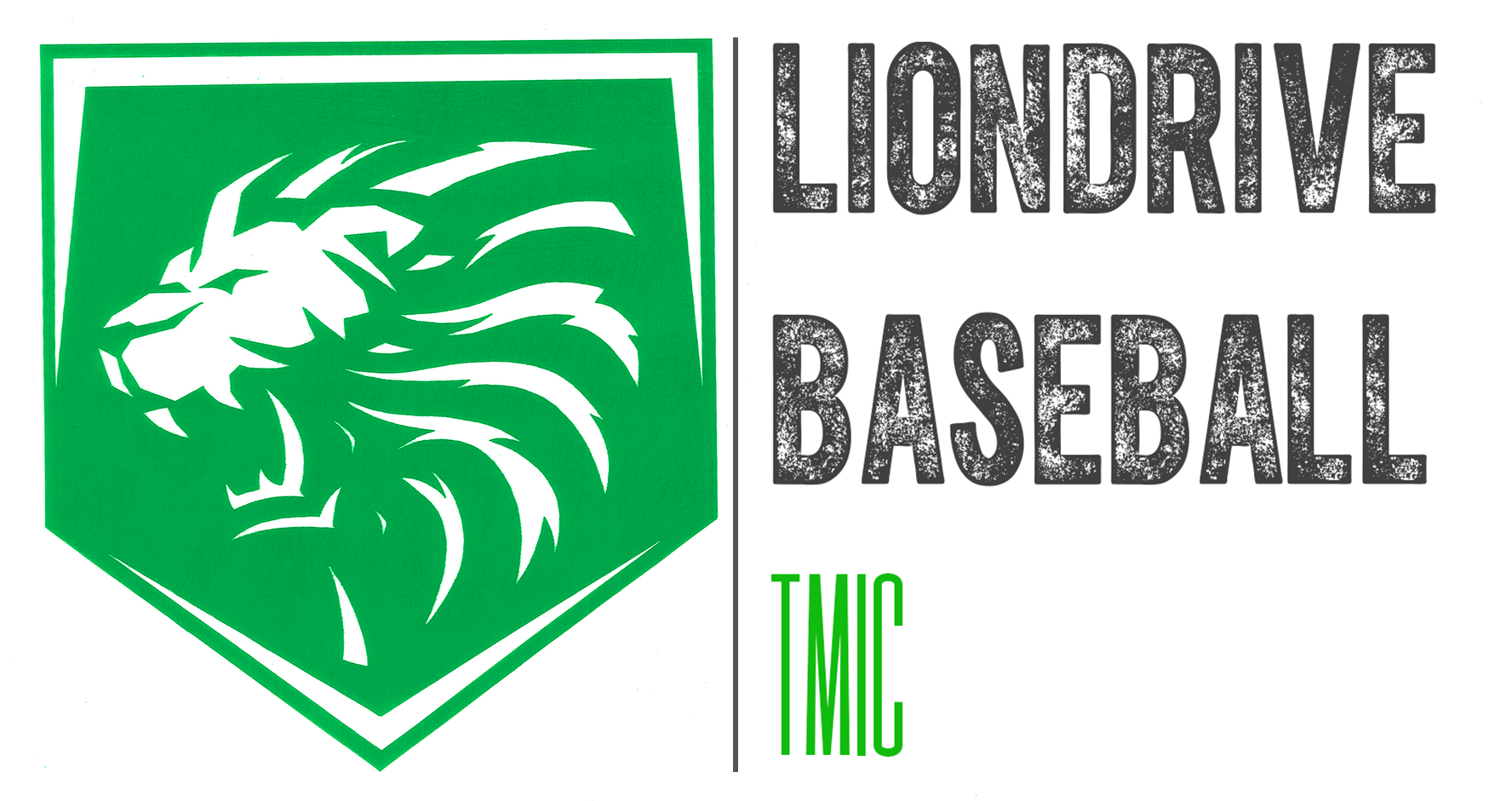 Lion Drive Baseball